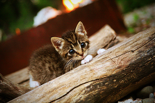 “逆转之战：经典逆袭瞬间震撼全场”，电影逆转