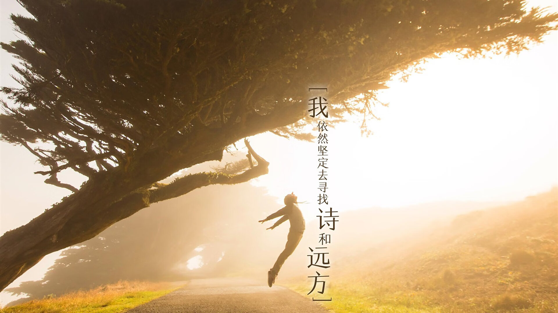 《多国战队的文化碰撞:跨文化交流的火花》